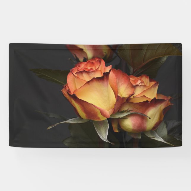 Orange, Red and Yellow Roses Banner (Horizontal)
