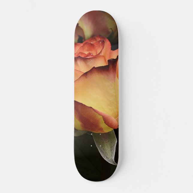 Orange, Red and Yellow Roses Skateboard (Front)