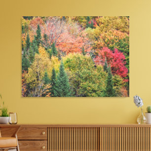 Orange Red Bush Canvas Print
