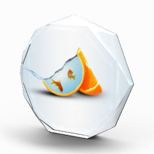 Orange & Red Fish Photo Block