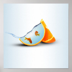 Orange & Red Fish Poster