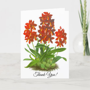 Orange Red Orchid Flower Personalised Card