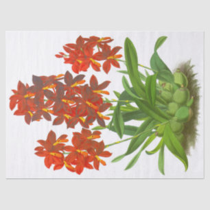 Orange Red Orchid Flower Tissue Paper