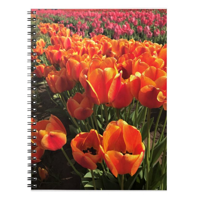 Orange & Red Tulips Notebook (Front)