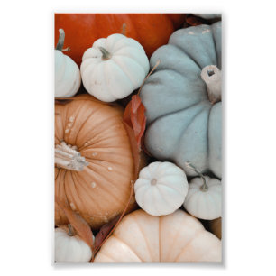 Orange Red White And Blue Pumpkins Photo Print