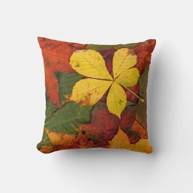 Orange, Red, Yellow Autumn Leaves Accent Pillow (Front)