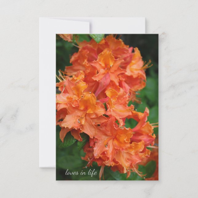 Orange Rhododendron Card (Front)