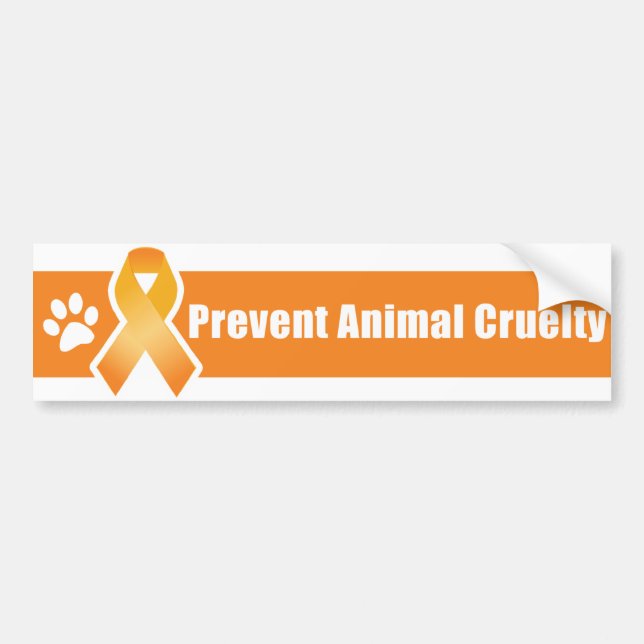 Orange Ribbon Bumper Sticker (Front)