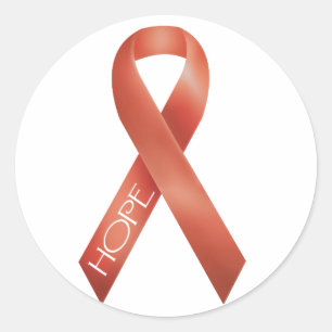 Orange Ribbon Classic Round Sticker
