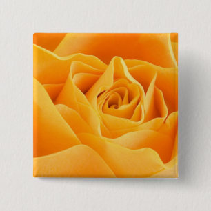 Orange Rose 15 Cm Square Badge
