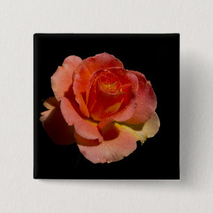 Orange Rose 2 15 Cm Square Badge