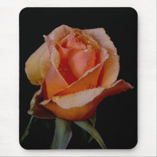 Orange Rose 3 Mouse Mat