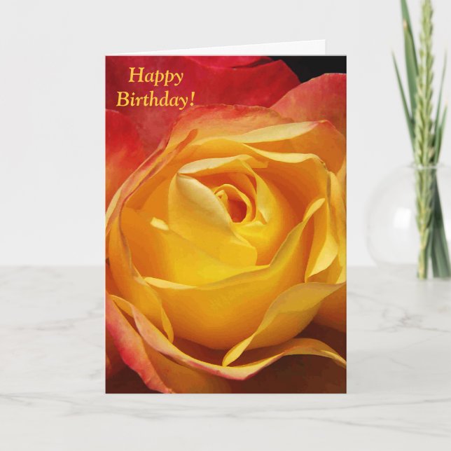 Orange Rose Birthday Card (Front)