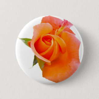 Orange Rose Button / Badge / Brooch
