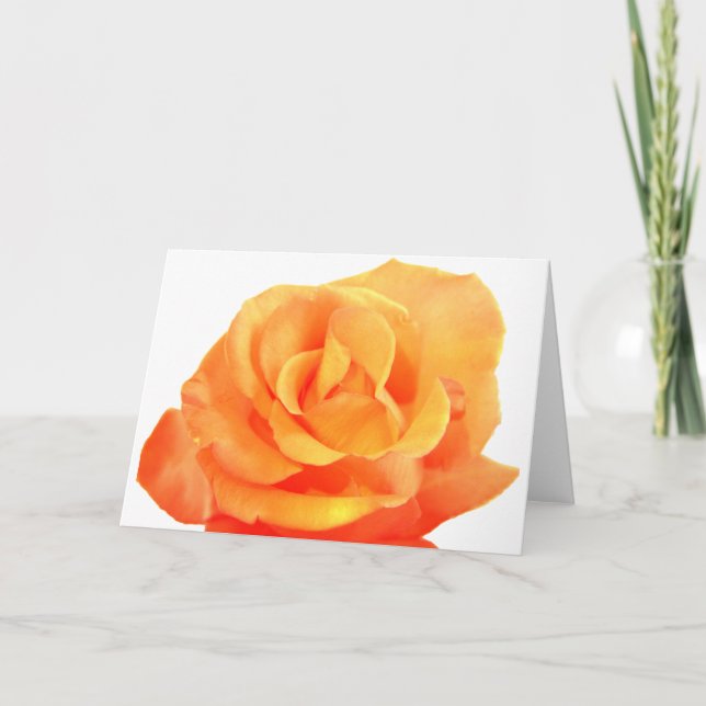 Orange Rose Card (Front)