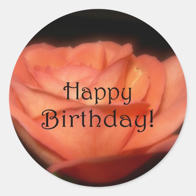 Orange Rose Classic Round Sticker (Front)