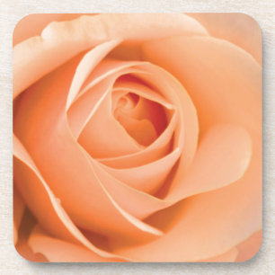 Orange Rose Coaster