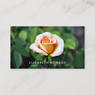 Orange Rose, Floristry Business Card