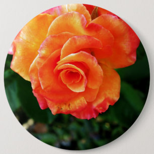 Orange rose flower 6 cm round badge