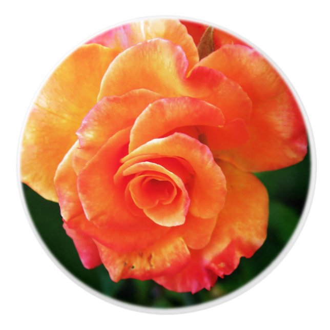 Orange rose flower ceramic knob (Front)