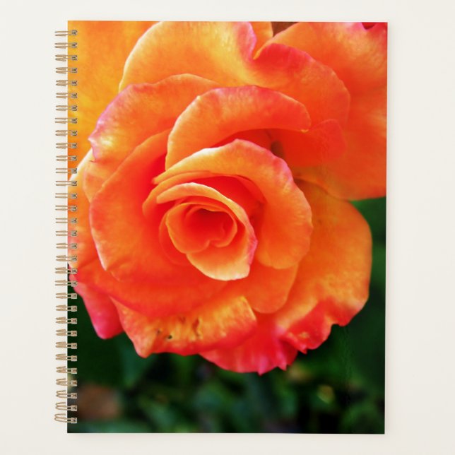 Orange rose flower planner (Front)