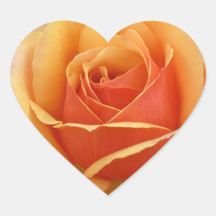 Orange Rose Heart Sticker