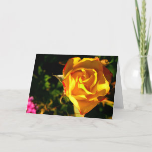 Orange rose holiday card