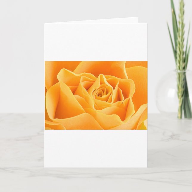 ORANGE ROSE HOLIDAY CARD (Front)