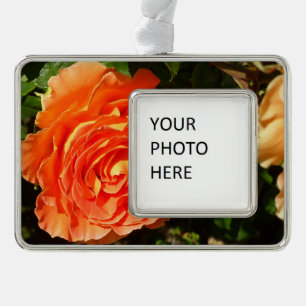 Orange Rose I Pretty Floral Silver Plated Framed Ornament
