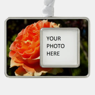 Orange Rose II Beautiful Floral Silver Plated Framed Ornament
