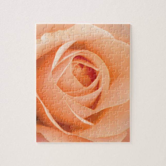 Orange Rose Jigsaw Puzzle (Vertical)