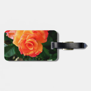 Orange rose luggage tag