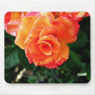Orange rose mouse mat
