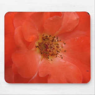 Orange Rose Mouse Mat
