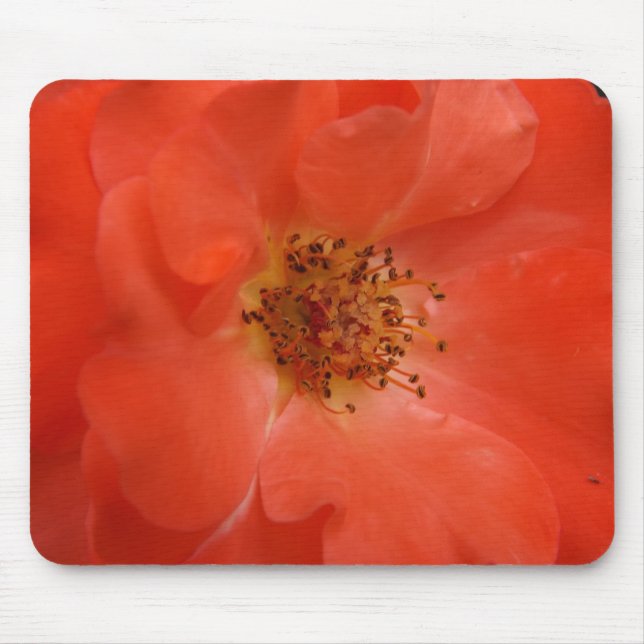 Orange Rose Mouse Mat (Front)
