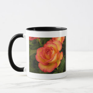 Orange Rose Mug