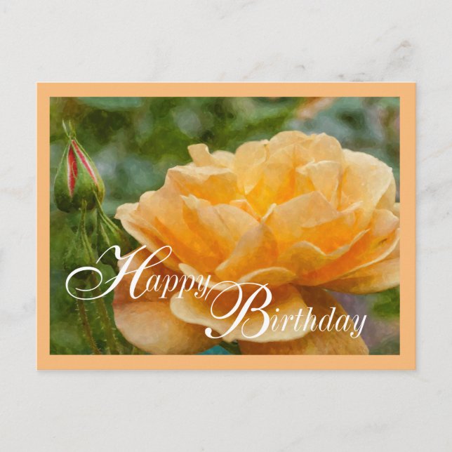 Orange Rose Painterly Postcard (Front)
