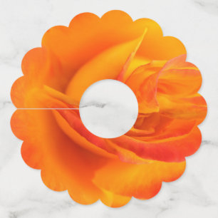 Orange Rose Paper Wine Glass Tags