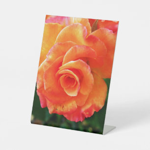 Orange rose   pedestal sign