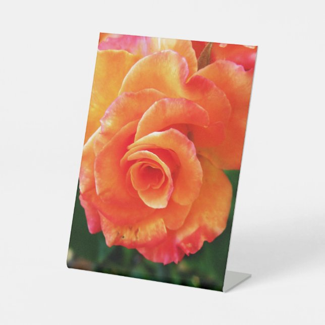 Orange rose   pedestal sign (Front)