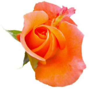 Orange Rose Photo Sculpture Ornament