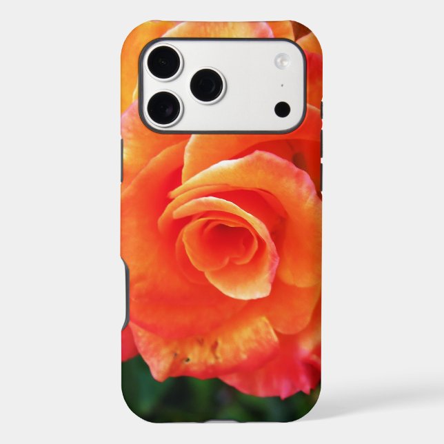 Orange Rose Photography (Back)