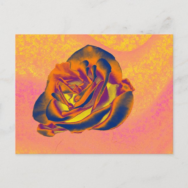 Orange Rose Postcard (Front)