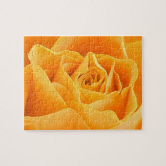 Orange Rose Puzzle