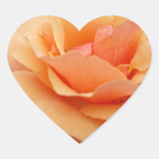 Orange Rose Sticker