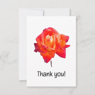 Orange rose thank you card