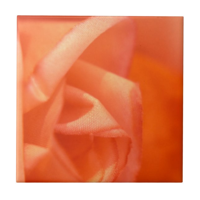 Orange rose tile (Front)