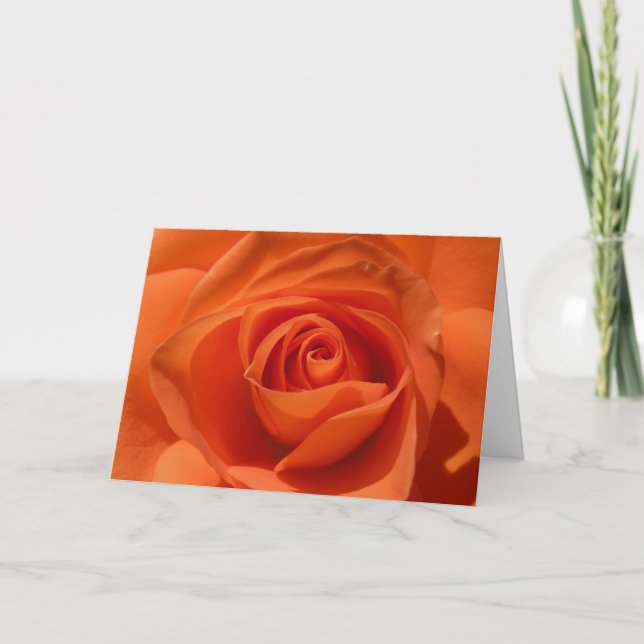 Orange Rose Valentine Card (Front)