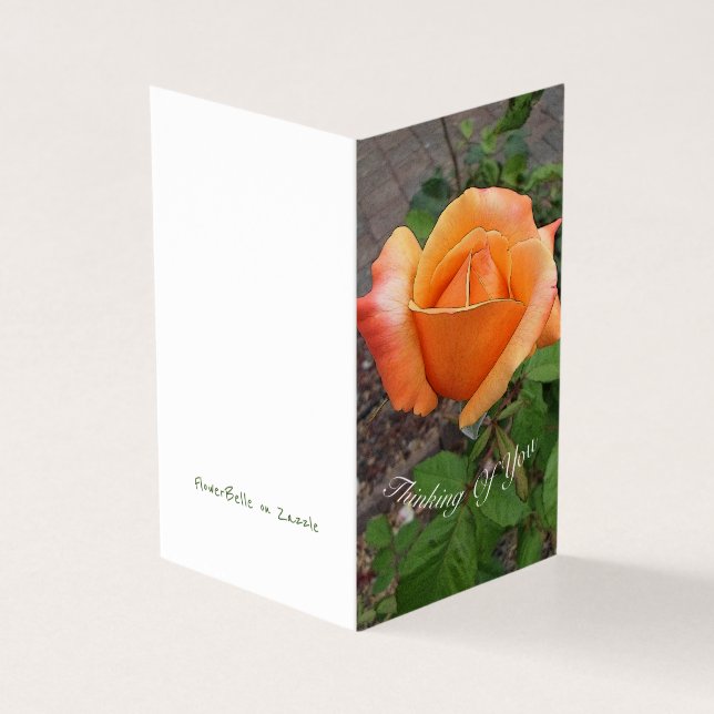 Orange Rosebud  (Outside)