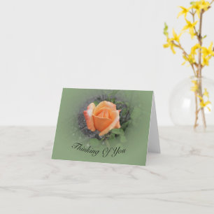 Orange Rosebud Card